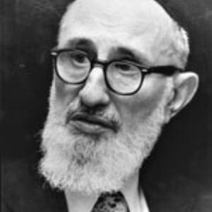 soloveitchik head